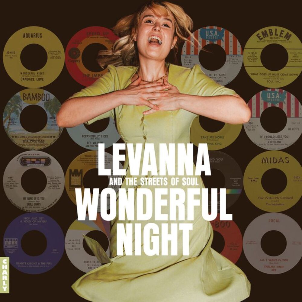Various Artists - Wonderful Night Curated By Levanna (Various Artists)  LP